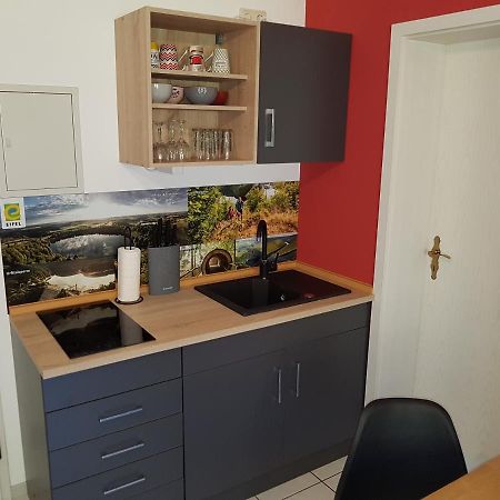 Zimmerappartement "Rose" - Ferienwohnungen Wagner & Gaul Daleiden Exterior foto